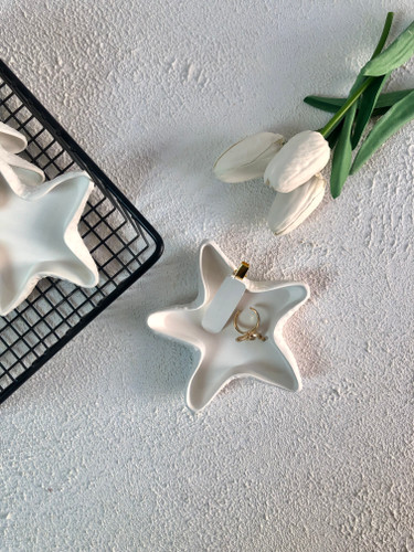 شیپ عکاسی ستاره دریایی مناسب تم ساحلی