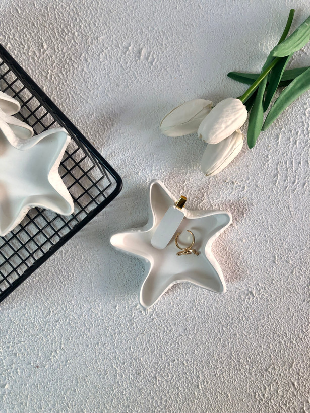 شیپ عکاسی ستاره دریایی مناسب تم ساحلی