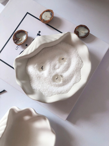 صدف دریایی دکوراتیو بتنی مناسب دکور مدرن