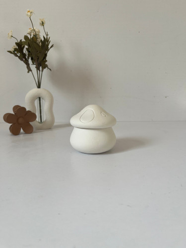 شات قارچ گوگولی بتنی مناسب جا پد آرایشی