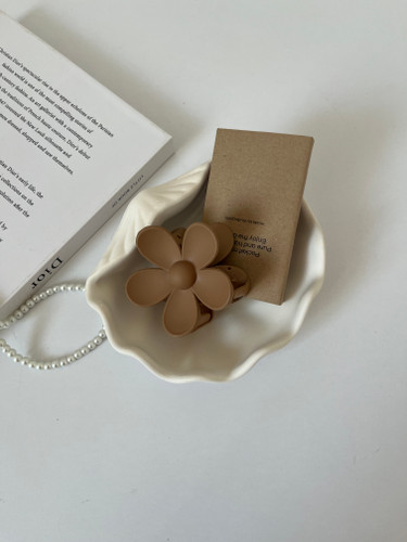 صدف دریایی دکوراتیو بتنی