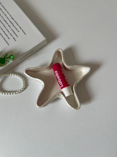 ستاره دریایی بتنی دکوراتیو