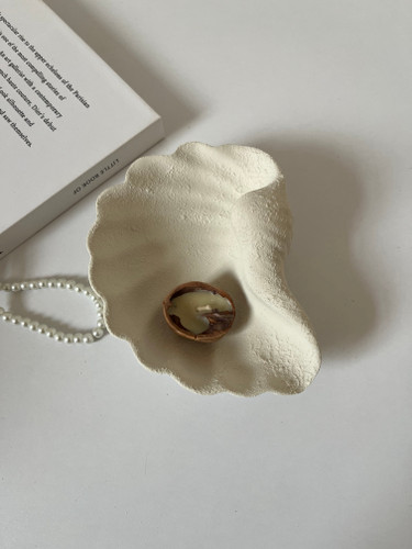 صدف پینترستی تکسچر دار دکوری