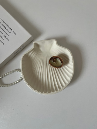 صدف شیاردار ۱۴ سانت